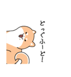 世界壱柴犬（個別スタンプ：21）