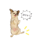 犬戦士ぶんぶん3（個別スタンプ：9）