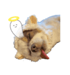 犬戦士ぶんぶん3（個別スタンプ：12）