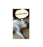 nekoの話（個別スタンプ：6）