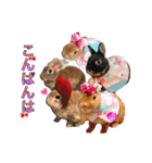 麦わら帽子のあの子（個別スタンプ：4）