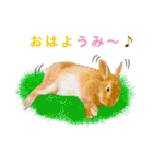 麦わら帽子のあの子（個別スタンプ：8）