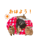 麦わら帽子のあの子（個別スタンプ：9）