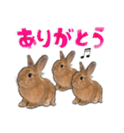 麦わら帽子のあの子（個別スタンプ：12）