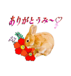 麦わら帽子のあの子（個別スタンプ：13）