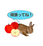 麦わら帽子のあの子（個別スタンプ：18）