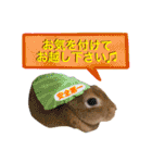 麦わら帽子のあの子（個別スタンプ：23）