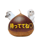 麦わら帽子のあの子（個別スタンプ：25）