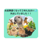 麦わら帽子のあの子（個別スタンプ：35）