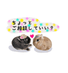 麦わら帽子のあの子（個別スタンプ：36）