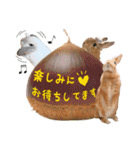 麦わら帽子のあの子（個別スタンプ：39）