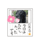 永遠ロックちんらぶ（個別スタンプ：8）