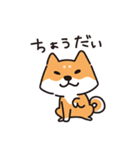 柴犬すずたろう（個別スタンプ：6）