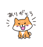 柴犬すずたろう（個別スタンプ：10）