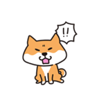 柴犬すずたろう（個別スタンプ：23）