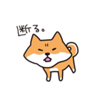 柴犬すずたろう（個別スタンプ：25）