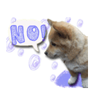 犬のくう2（個別スタンプ：8）