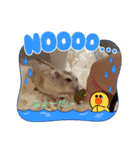 さくら大好きだよ（個別スタンプ：1）