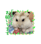 さくら大好きだよ（個別スタンプ：4）