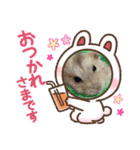 さくら大好きだよ（個別スタンプ：5）