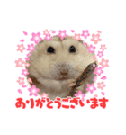 さくら大好きだよ（個別スタンプ：10）