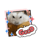 さくら大好きだよ（個別スタンプ：12）