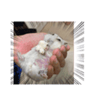 さくら大好きだよ（個別スタンプ：15）