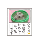 さくら大好きだよ（個別スタンプ：16）