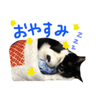 モルガナちゃんスタンプ（個別スタンプ：7）