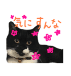 モルガナちゃんスタンプ（個別スタンプ：10）
