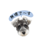 うちの官兵衛さん！（個別スタンプ：2）