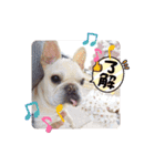 GAOGAO2（個別スタンプ：9）