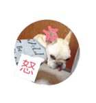 GAOGAO2（個別スタンプ：13）
