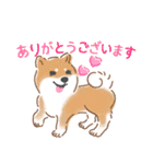 もふもふ♪ほんわか癒しの柴犬（個別スタンプ：2）