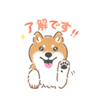 もふもふ♪ほんわか癒しの柴犬（個別スタンプ：5）