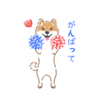 もふもふ♪ほんわか癒しの柴犬（個別スタンプ：21）