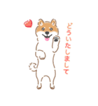 もふもふ♪ほんわか癒しの柴犬（個別スタンプ：29）