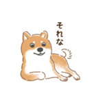 もふもふ♪ほんわか癒しの柴犬（個別スタンプ：34）