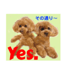 Smilewanの仲間達②（個別スタンプ：6）