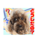 Smilewanの仲間達②（個別スタンプ：10）