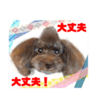 Smilewanの仲間達②（個別スタンプ：14）