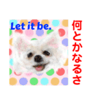 Smilewanの仲間達②（個別スタンプ：17）