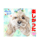 Smilewanの仲間達②（個別スタンプ：19）
