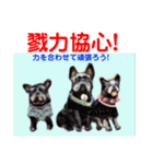 Smilewanの仲間達②（個別スタンプ：20）