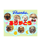 Smilewanの仲間達②（個別スタンプ：23）