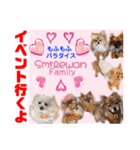 Smilewanの仲間達②（個別スタンプ：24）