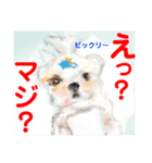 Smilewanの仲間達②（個別スタンプ：26）