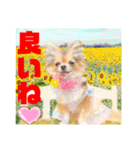 Smilewanの仲間達②（個別スタンプ：27）