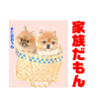 Smilewanの仲間達②（個別スタンプ：28）