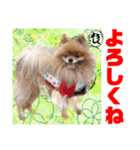 Smilewanの仲間達②（個別スタンプ：30）